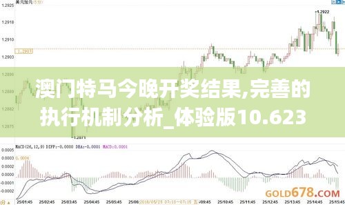 2024年12月10日 第20页