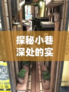 探秘小巷深处的魔法街景屋，别样风景等你来邂逅（12月9日）