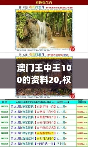 澳门王中王100的资料20,权威方法解析_铂金版1.385