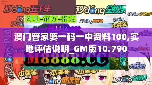 澳门管家婆一码一中资料100,实地评估说明_GM版10.790