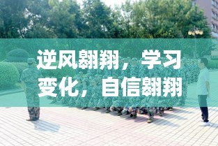 逆风翱翔，自信驾驭学习变化，实时掌握十二月航班动态