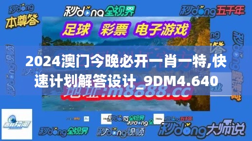 2024澳门今晚必开一肖一特,快速计划解答设计_9DM4.640