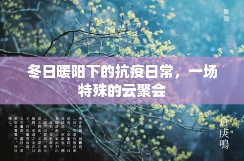 冬日暖阳下的抗疫日常，云聚会的特殊时刻