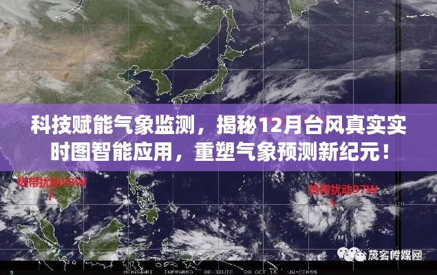 科技赋能气象监测，智能实时台风图重塑气象预测新纪元！