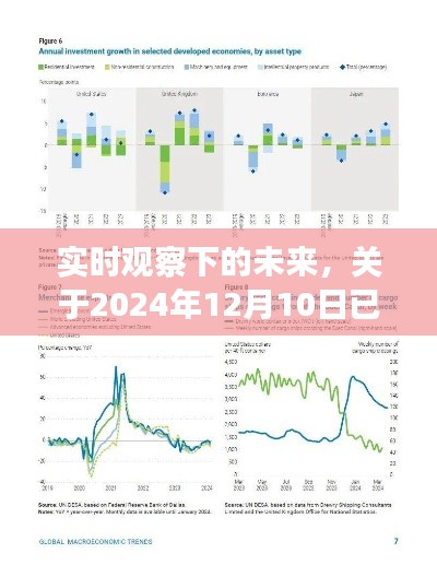 实时观察下的未来，多维视角分析预测报告（2024年12月10日）