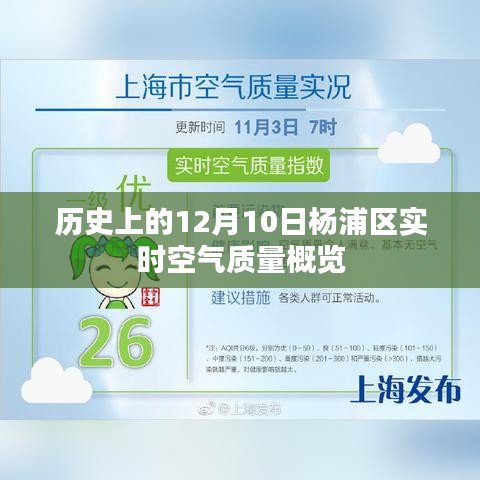 历史上的今天与杨浦区空气质量概览，实时空气质量报告