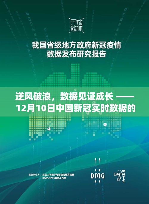 逆风破浪，中国新冠实时数据的见证与成长之路 —— 12月10日励志篇章