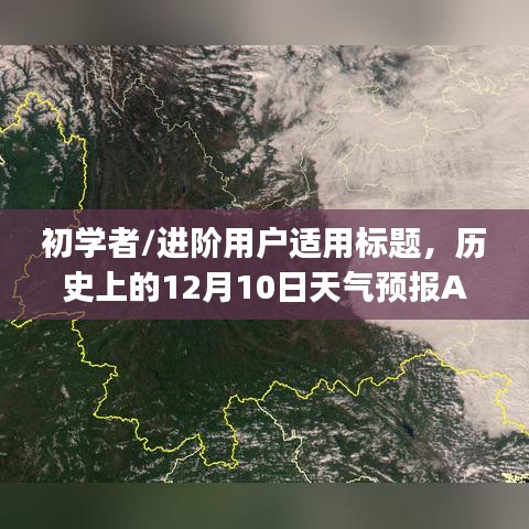 历史上的天气预报App使用指南，实时卫星云图助力初学者与进阶用户进阶学习指南