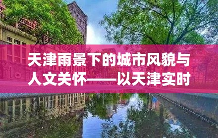 天津雨景下的城市风貌与人文关怀，实时图片视角下的天津雨中景色