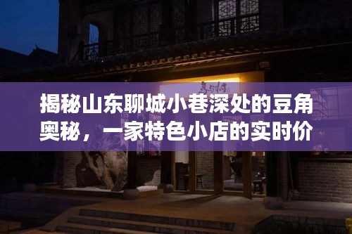 探访山东聊城小巷豆角奥秘，特色小店的实时价格之旅揭秘