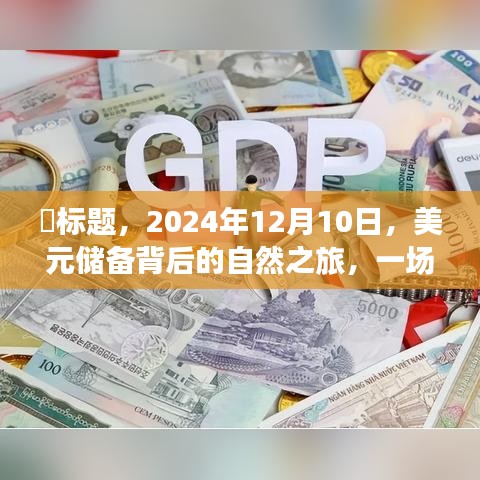 ​标题，探寻内心平静之旅，美元储备背后的自然冒险之旅（2024年12月10日）