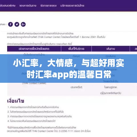 小汇率背后的情感与实时汇率app的温馨日常体验