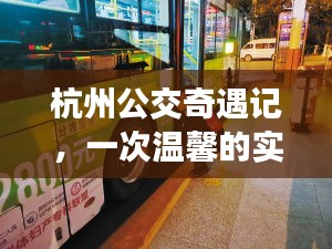 杭州公交奇遇记，温馨的实时查询之旅