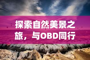 与自然同行，OBD之旅的宁静探索与自我找寻