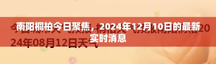 南阳桐柏今日焦点，最新实时消息速递（2024年12月10日）