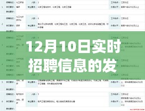 时代脉搏下的就业晴雨表，12月10日实时招聘信息发布