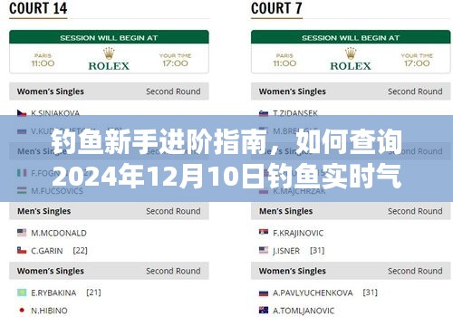 钓鱼新手进阶指南，如何查询特定日期钓鱼实时气压（附2024年12月10日指南）