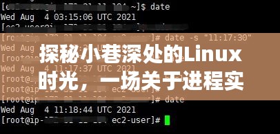 小巷深处的Linux时光，进程实时显示的奇妙探险