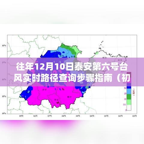 泰安第六号台风实时路径查询指南，往年12月10日台风路径查询步骤详解（适合初学者与进阶用户）