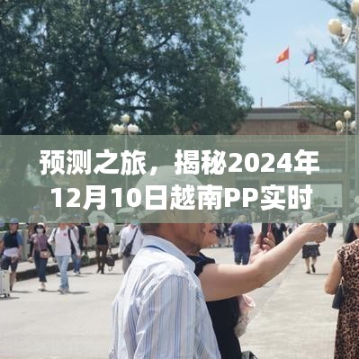 揭秘越南PP实时价格走向预测之旅，2024年12月10日展望