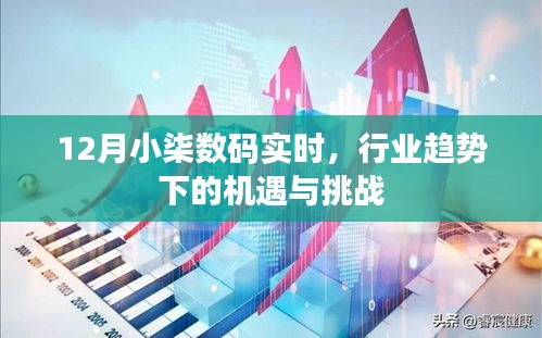 12月小柒数码行业趋势下的机遇与挑战解析