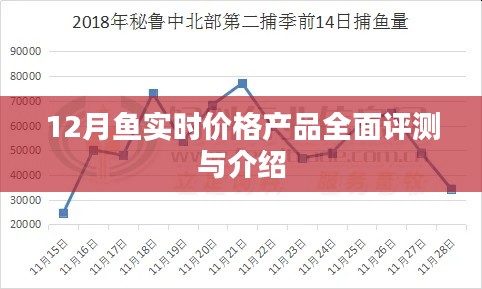 12月鱼类产品实时价格全面评测与介绍