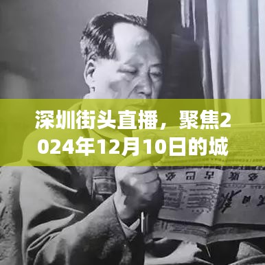 2024年12月12日 第13页