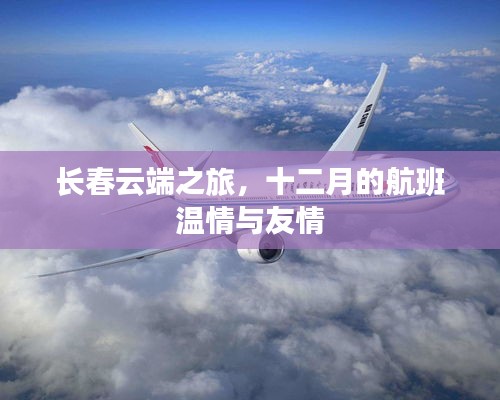 长春云端之旅，十二月航班的温情与友情之旅