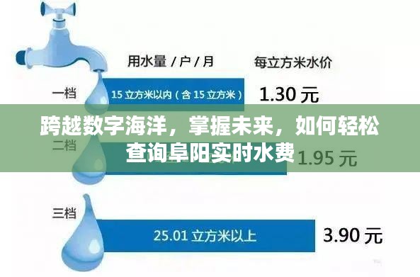 跨越数字海洋，轻松查询阜阳实时水费掌握未来生活便捷之道