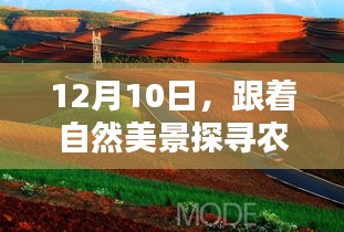 12月10日探寻农村老年人真实生活状态，与自然美景相伴的温暖之旅