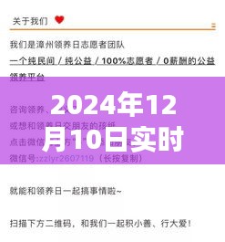 全球动物生态最新动态概览，实时报道动物素材，2024年12月10日更新