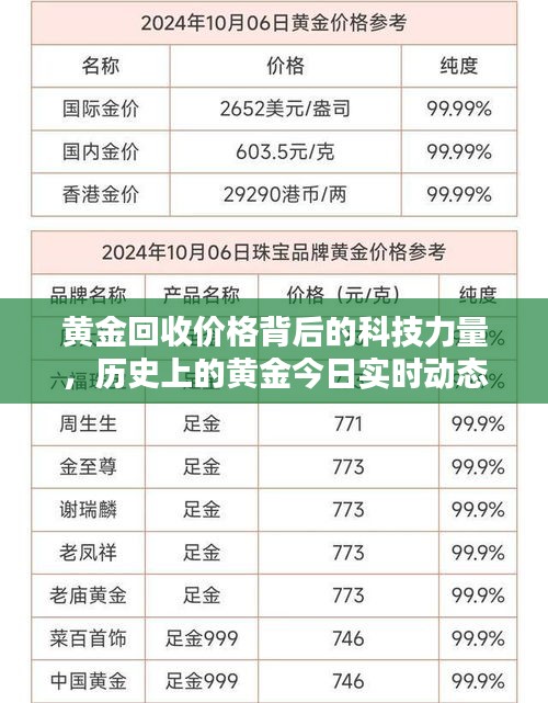 2024年12月12日 第7页