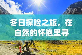 冬日自然探险，寻找内心的宁静之旅