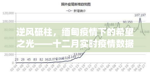 缅甸疫情下的逆风砥柱，实时数据解析与励志故事集