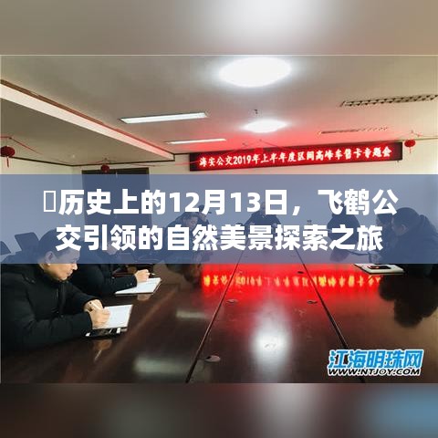 飞鹤公交引领的自然美景探索之旅，历史性的12月13日启程