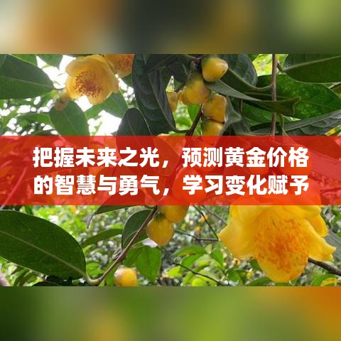 黄金价格预测的智慧与勇气，把握未来之光，学习变化赋予自信与成就感