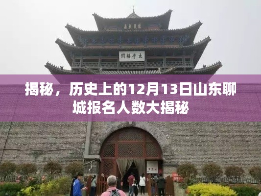 揭秘，山东聊城报名人数背后的历史秘密——揭秘12月13日数据大解密