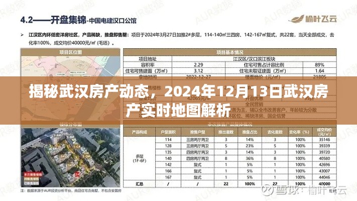 武汉房产动态解析，实时地图数据揭示未来趋势（2024年12月13日）