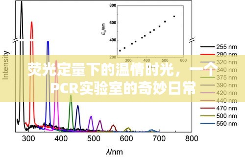 荧光下的温情时光，PCR实验室的奇妙日常探索