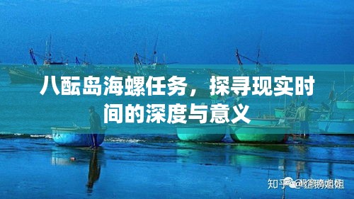 八酝岛海螺任务，探寻时间与意义的深度之旅