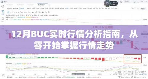 12月BUC实时行情解析，零基础掌握走势指南