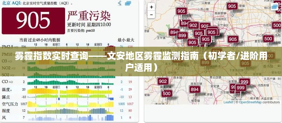 2024年12月13日 第9页