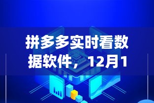 拼多多实时数据软件，12月13日回顾与洞察报告