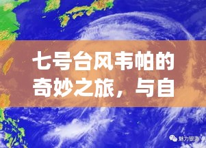 七号台风韦帕的奇妙之旅，与自然共舞，内心的宁静港湾探寻记