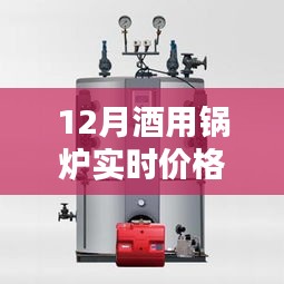 12月酒用锅炉实时价格探析，深度解读及某某观点分享