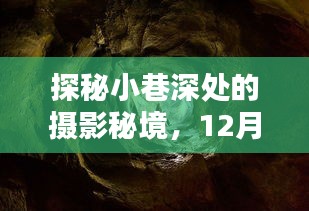 2024年12月14日 第12页