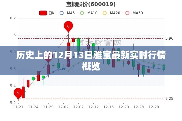 雅宝实时行情概览，历史12月13日行情回顾