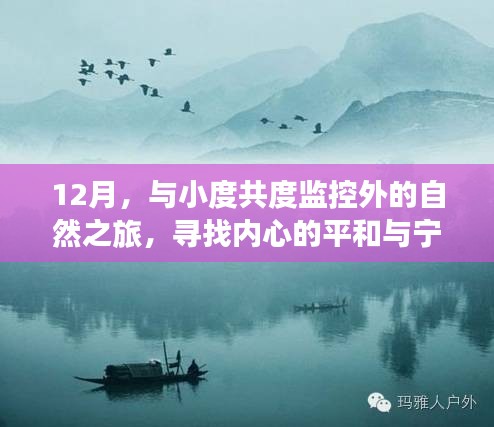 12月自然之旅，与小度共度监控外的宁静时光，探寻内心平和的奥秘