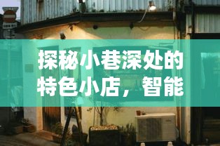 探秘小巷特色小店，智能库存管理的未来实时进度展望——2024年12月13日探访纪实