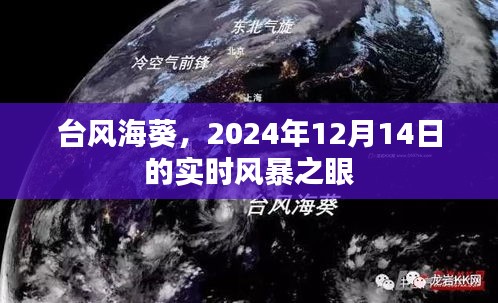 台风海葵实时风暴之眼直击，2024年12月14日最新动态